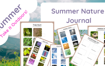 Summer Nature Journal (Summer Holidays)