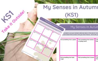 My Senses in Autumn (KS1)