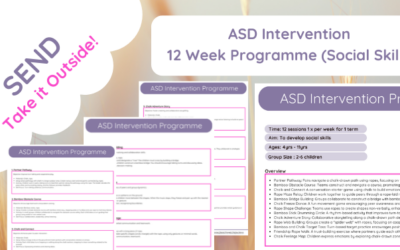 ASD Intervention Programme (Social Skills)