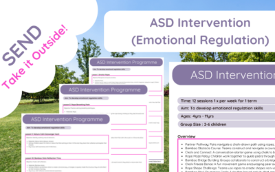 ASD Intervention – Emotional Regulation Programme