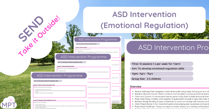 ASD Intervention – Emotional Regulation Programme