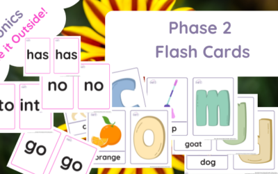 Phase 2 Flash Cards