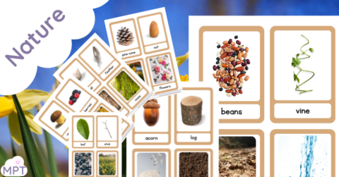 Nature Flash Cards (Outdoor Learning)