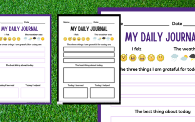 Daily Journal SEND